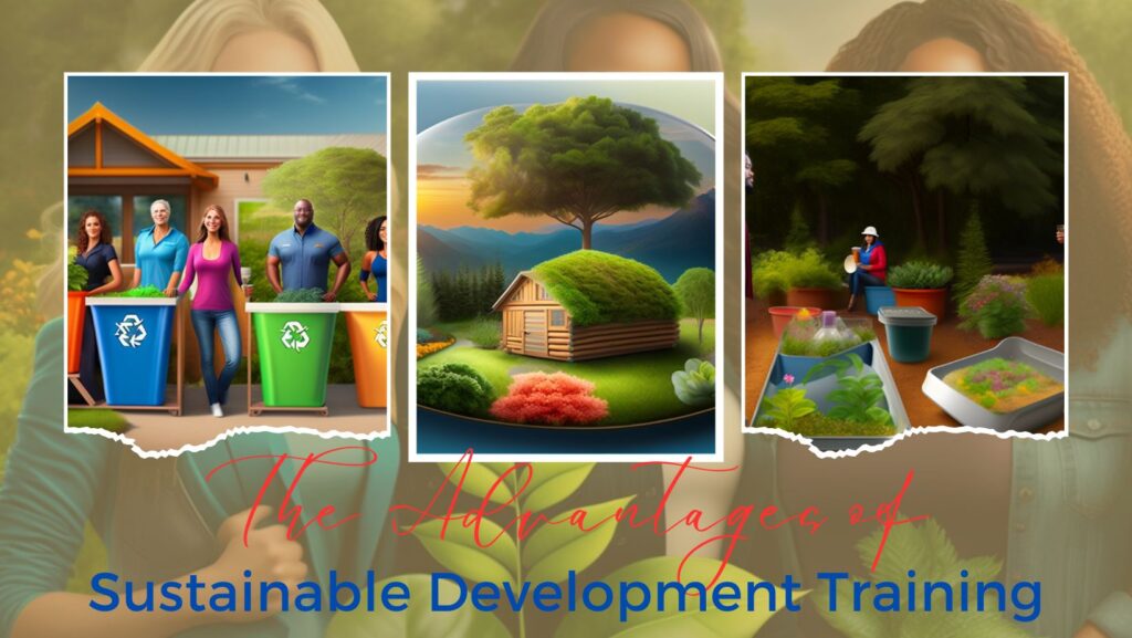 Sustainable Development Training